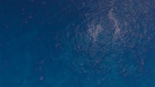 Über Ocean 2k