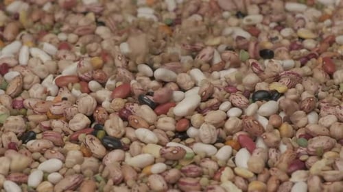 Falling Pile of Mixed Beans and Lentils