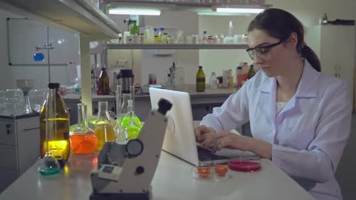 Professional Woman Make Food Quality Test