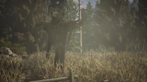 Scarecrow on the Old Village Field