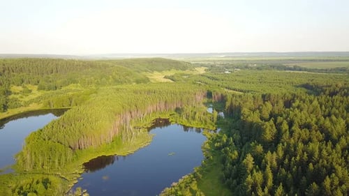 Nature Lake Pond Water