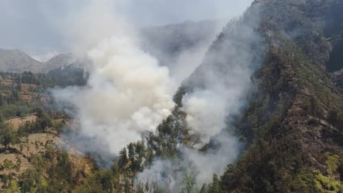 Forest Fire in the Mountains