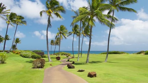 RED Shot Resort Trail im Green Park mit grünen Palmen — Tropischer Urlaub