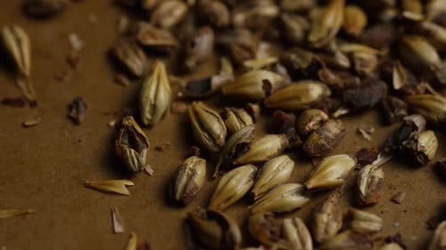 dose rotativa de cevada e outros ingredientes de fabricação de cerveja - BEER BREWING