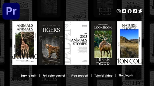 Album Instagram Stories