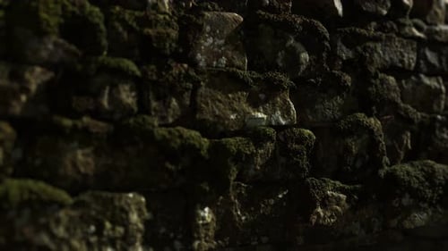 Dynamic Mossy Stone Wall Background with Moving Light