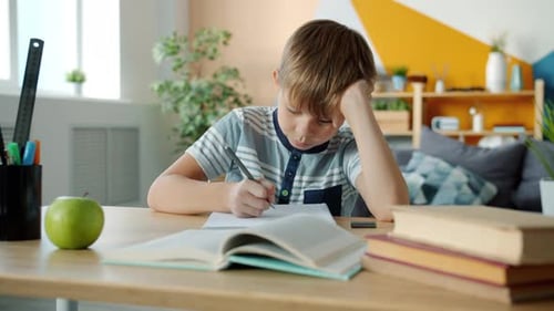 Boy Doing Homework at Desk Indoors