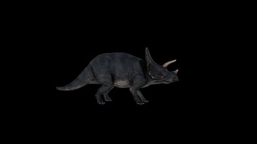 Dinosaurier Triceratops Idle