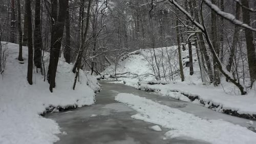 Flying in winter forest covered with fresh snow above small forest river.