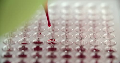 Red Liquid Being Poured Into a Well Plate