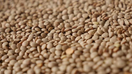 Panning on Lens esculenta on the table close-up 4K 2160p 30fps UltraHD footage - Slow pan over edibl