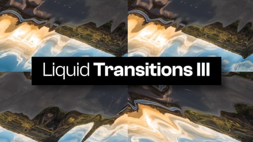 Abstract Liquid Flow Transitions for Video Editing