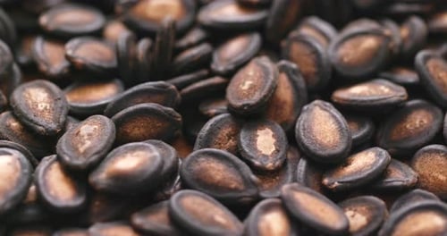 Black Melon Seed