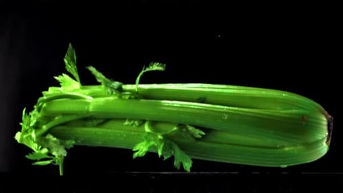 The Super Slow Motion of the Celery Falls with Splashes in the Water