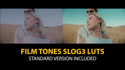 Slog3 Film Tones and Standard Color LUTs