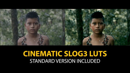 Cinematic S-Log3 Color Grading Presets for Video Enhancement