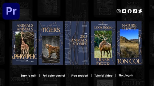 Restaurant Instagram Stories