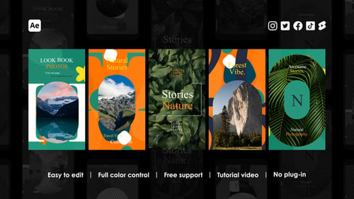 Album Instagram Reels