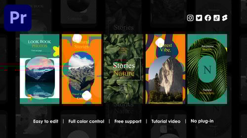 Album Instagram Reels