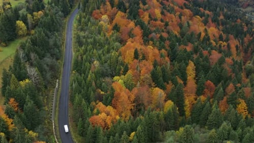 Aerial View Of Mountain Road At The Autumn Forest 8