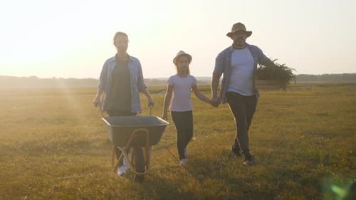 Young Family Having Fun Outdoors in Their Farm. Gardener Woman Pushing Wheelbarrow with Vegetables