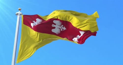 Drapeau de Lorraine agité