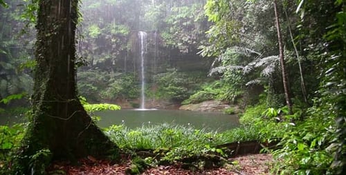 Wasserfall im Borneo Rainforest