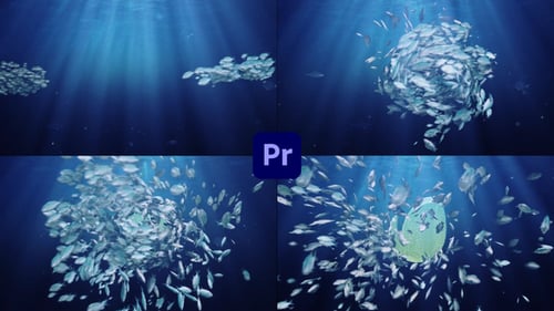 Ocean/Blue Sea Eco Fish Logo Text