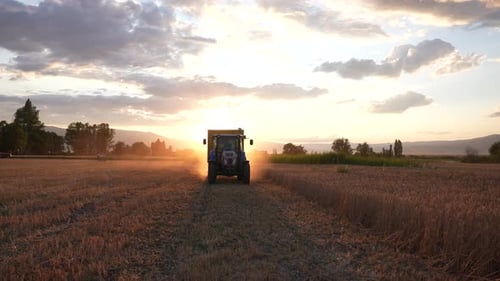 Tractor Driving Through Field at Sunset