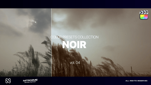 Noir LUT Sammlung Band 04 für Final Cut Pro X