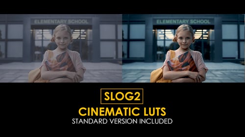 LUT en color estándar y cinemáticas de Slog2