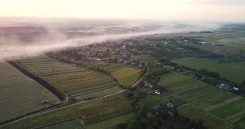 Aerial View of Farmland at Misty Sunrise