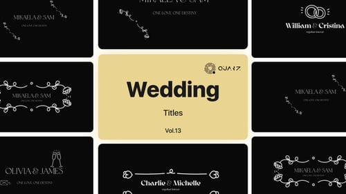 Hochzeitstitel Band 13