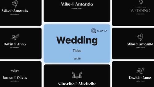 Wedding Titles Vol. 16