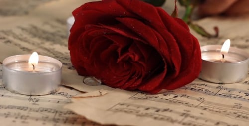 Red Rose and Candles on Music Sheets