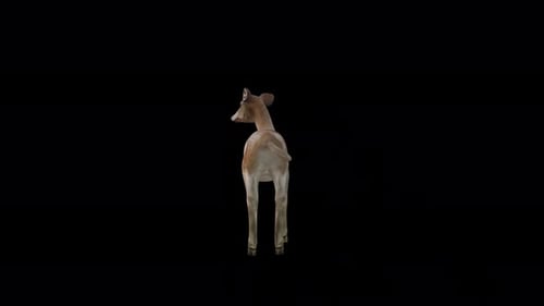 Brown Doe Idle Ansicht von hinten