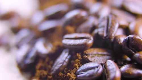Roasted Coffee Beans and Ground Coffee Close Up