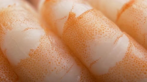 Abstract Food Background. Detailed Shrimp Prawn Food Background