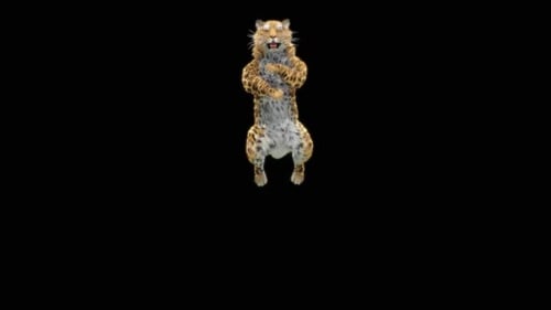 71 Leopard Jumping Down HD