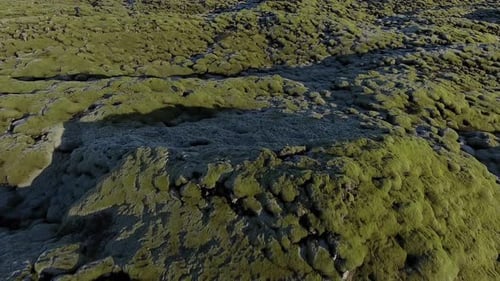 Flying Over Rocks And Moss In Iceland