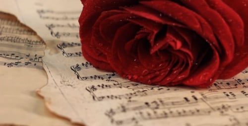 Red Rose Lies on Vintage Sheet Music