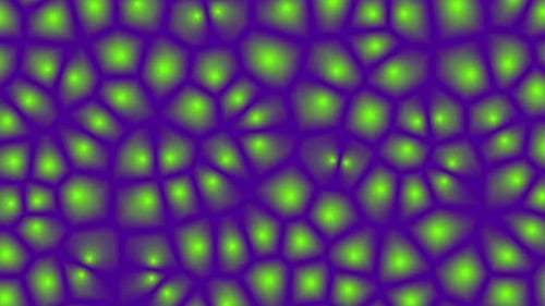 Dividing green cells on purple background