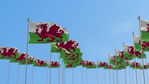 Multiple Welsh Flags Waving in Blue Sky