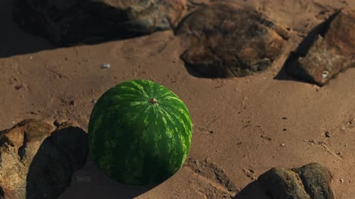 Big and Juicy Watermelon on the Beach Sand