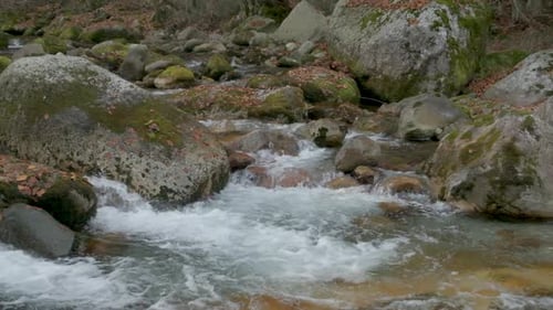 River Water Stream in Autumn Mountain Forest