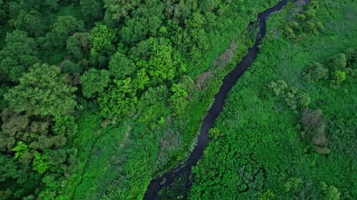 River and Green Fields in Countryside