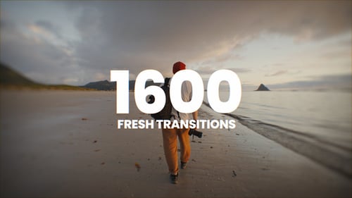 1600 Transitions