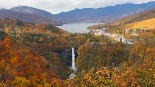 Cascada emblema de Japón