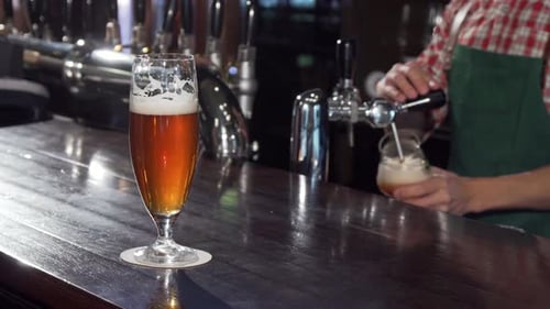 Bartender Pours Craft Beer at the Bar