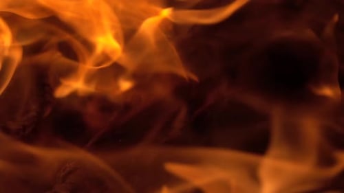 Fogo ardente, lenha, carvão, closeup